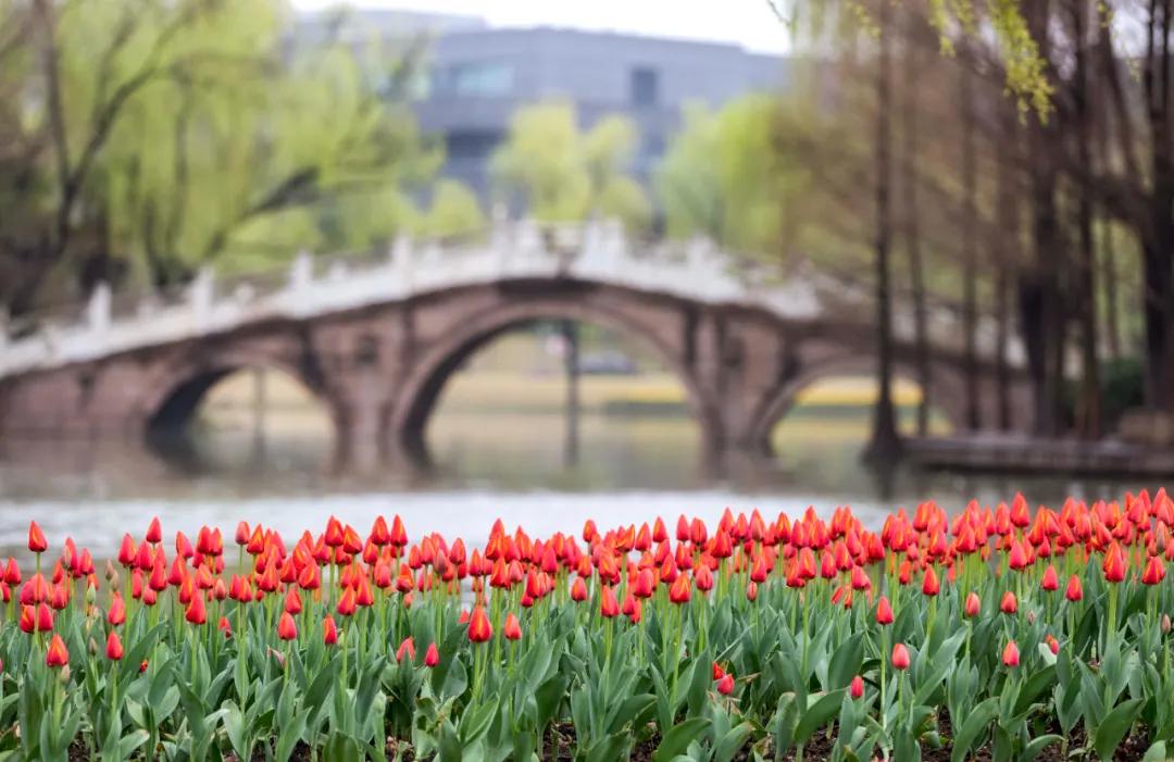 杭州美职学校风景,杭州美丽学校评选