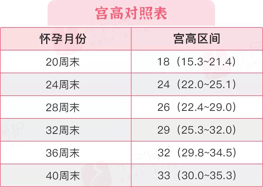 想知道宝宝长相,想知道胎宝宝的样子