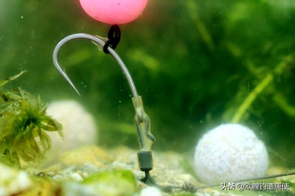 有哪些基础钓法初学者要学会,新手最稳妥的一种钓法