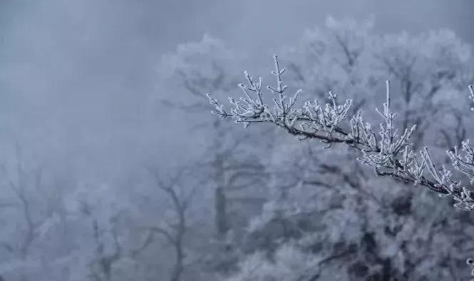 此生必去看一次雾凇太美了,此生必去看一次雾凇简直要美哭了