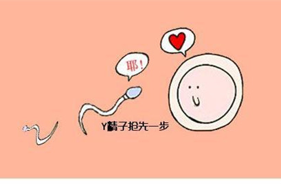 备孕要避开几件事,备孕避开的药物