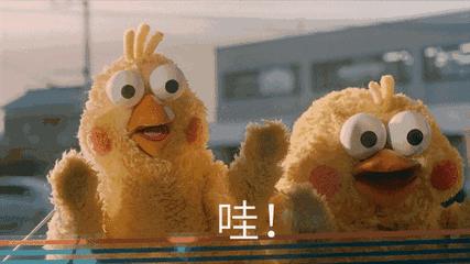 duckface视频,duckface什么意思