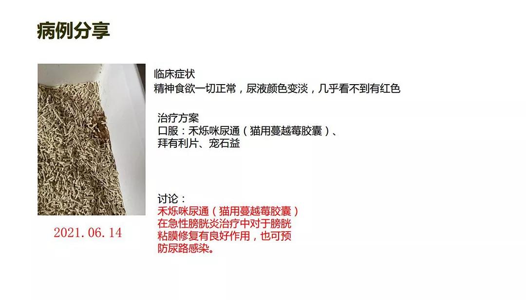 猫咪泌尿感染有哪些症状,矿砂对猫咪泌尿有影响吗