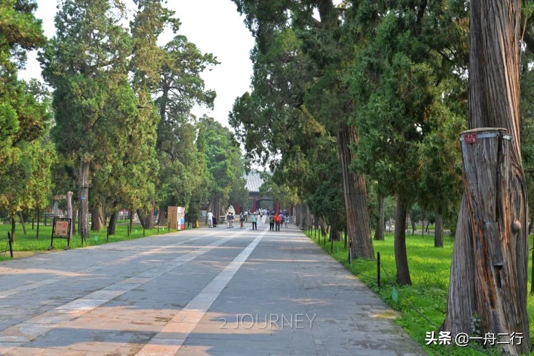 初冬的邂逅曲阜孔庙,游曲阜孔庙发朋友圈