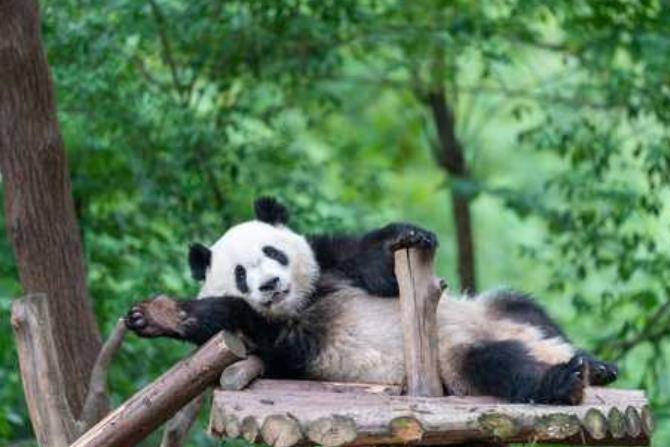 成都周边适合五一住一晚最佳攻略,五一成都推荐住哪里好些