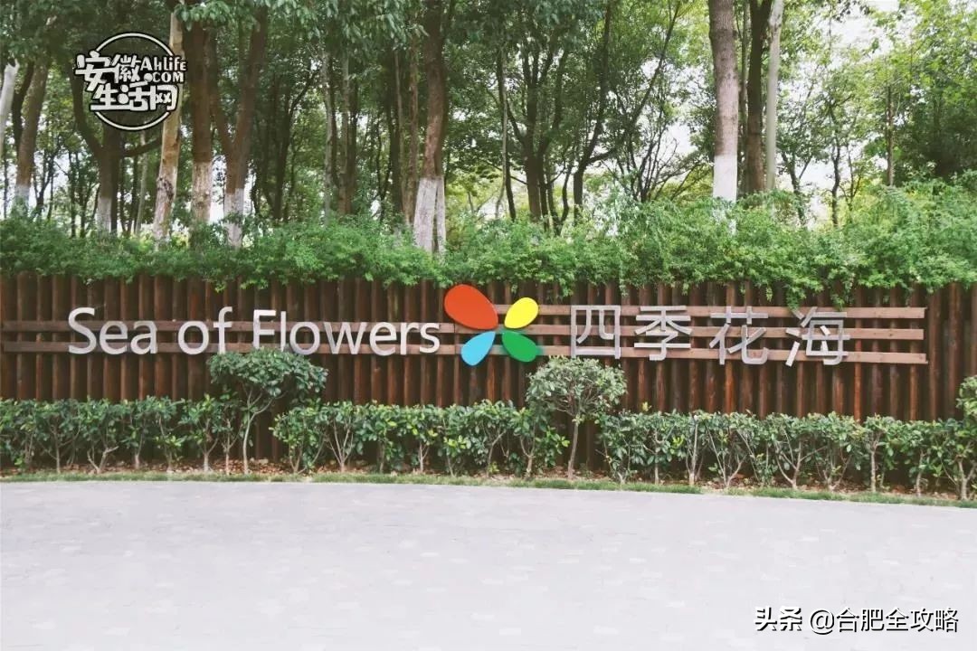 合肥是一座温暖的城市,合肥是一个有灵魂的城市