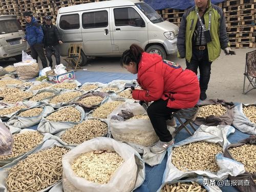 抚松万良人参批发市场在哪里,抚松万良人参市场直播