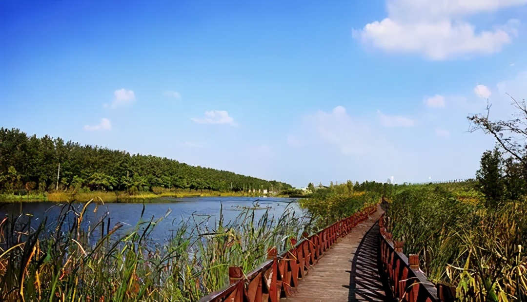 八月合肥必去的13个免费景点,合肥旅游免费景区推荐