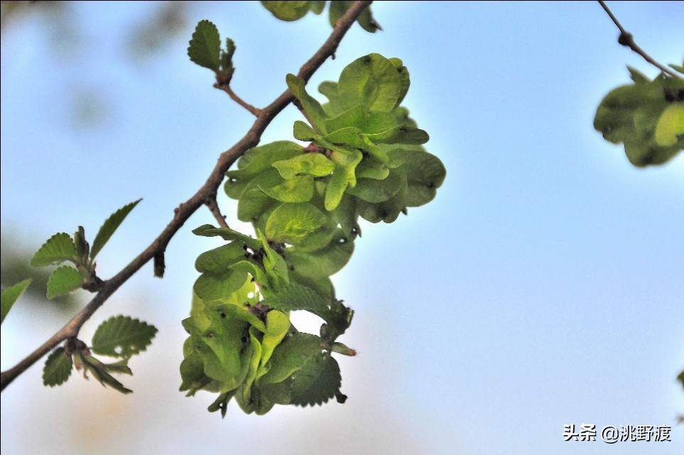 上联：钱如粪土人人赚，邀对下联