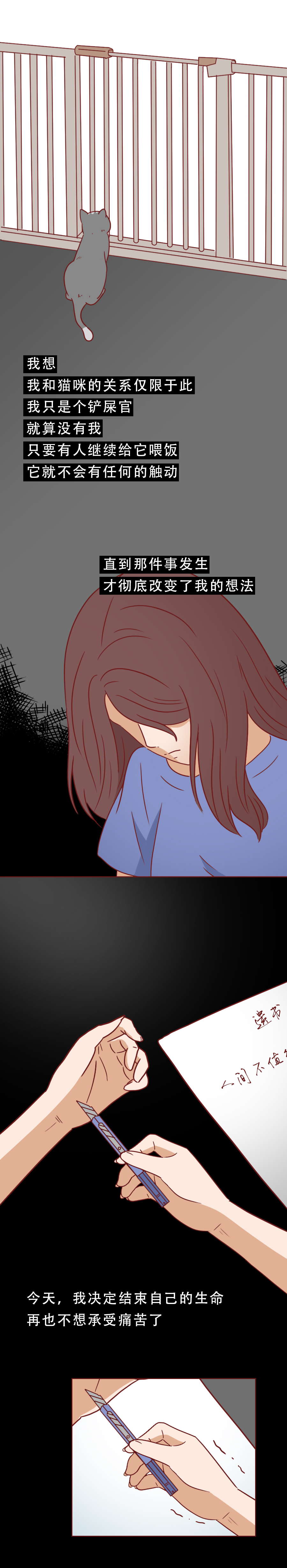 捡回来抑郁的猫,捡回一只小猫原居民抑郁了