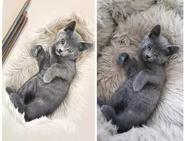 彩铅不会涂色怎么办,彩铅绘画干货