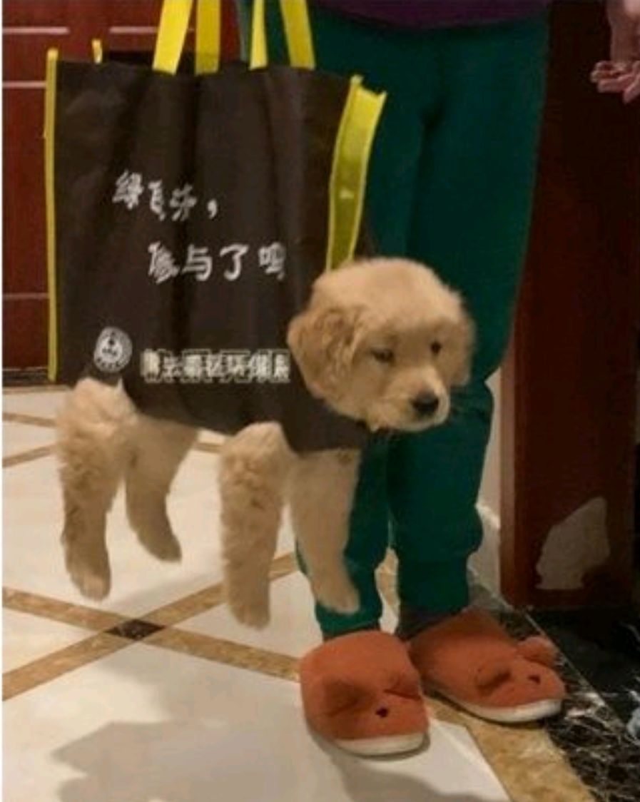 朋友欠我2万块钱能要回来吗,朋友欠了我200块钱