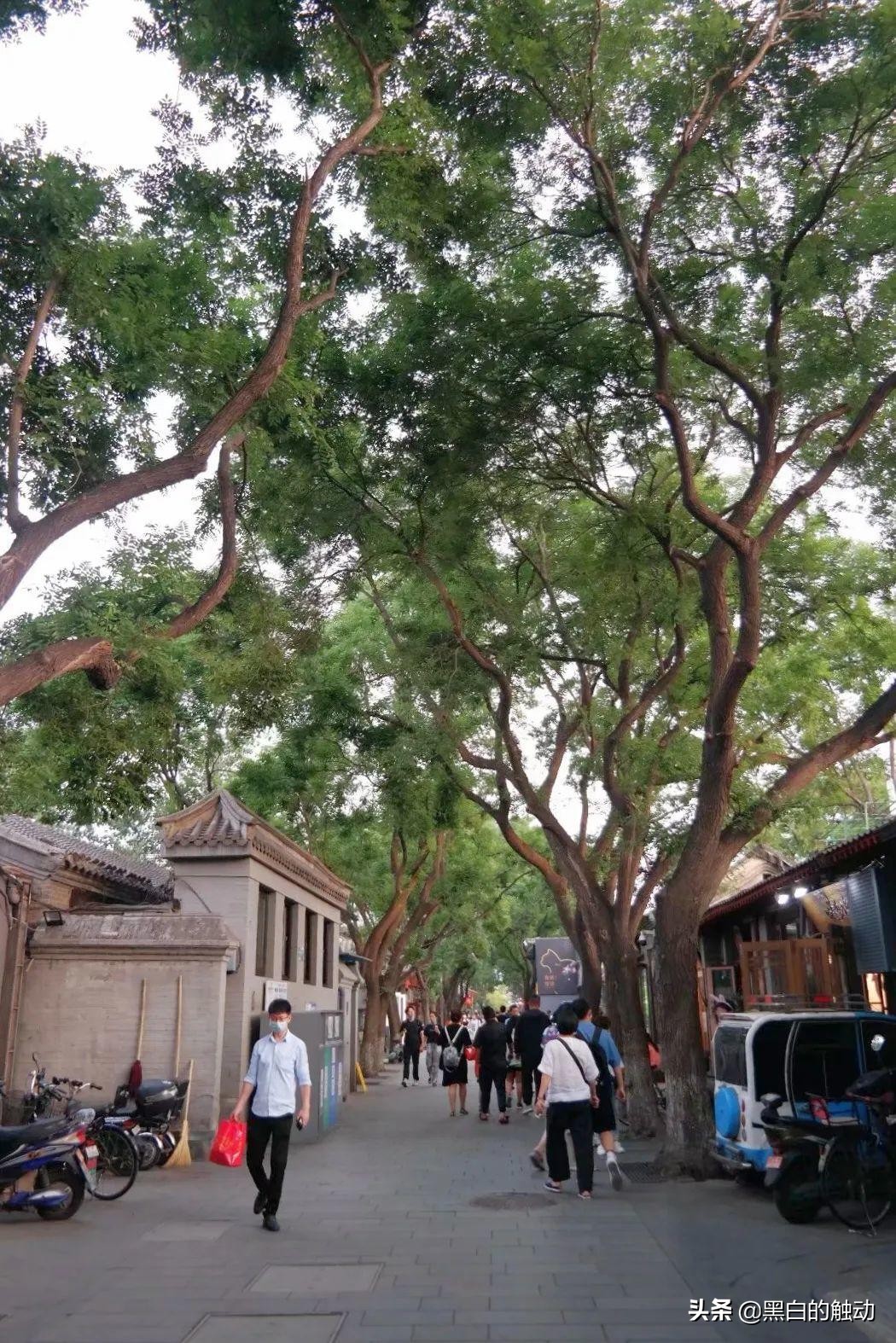 北京的名胜古迹长城,长城故宫名胜古迹