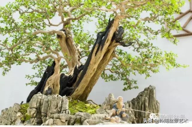 骞哥涔呬箙鐢滅敎铚滆湝,骞哥涔呬箙