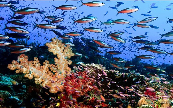 世界上最任性的国家,世界最任性的国家