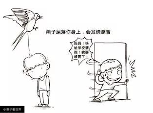 鸟屎落头有什么说法吗,雀屎掉在头上预示什么