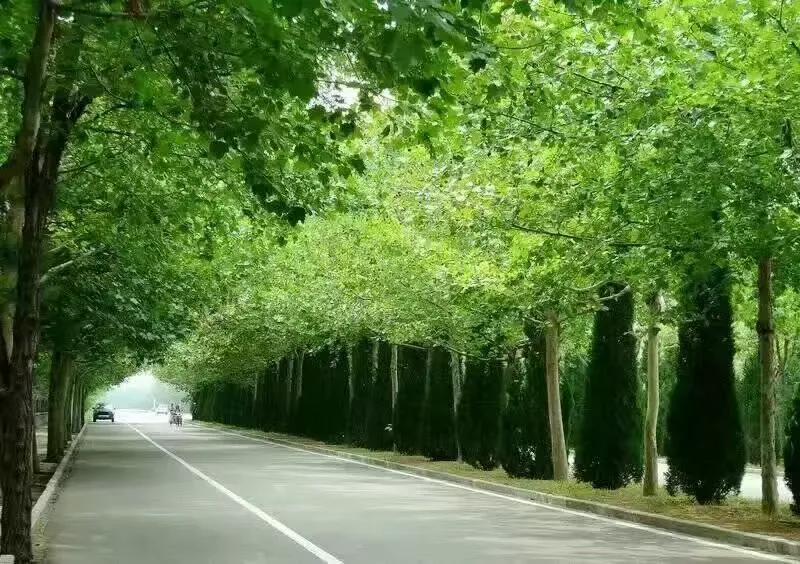 看正版杜梨儿的亲历，评价一下龙口海景房是鬼城还是天堂！