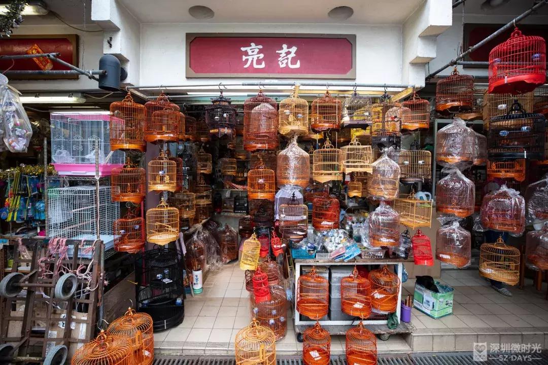 香港小众地点大全,香港最好逛的地方