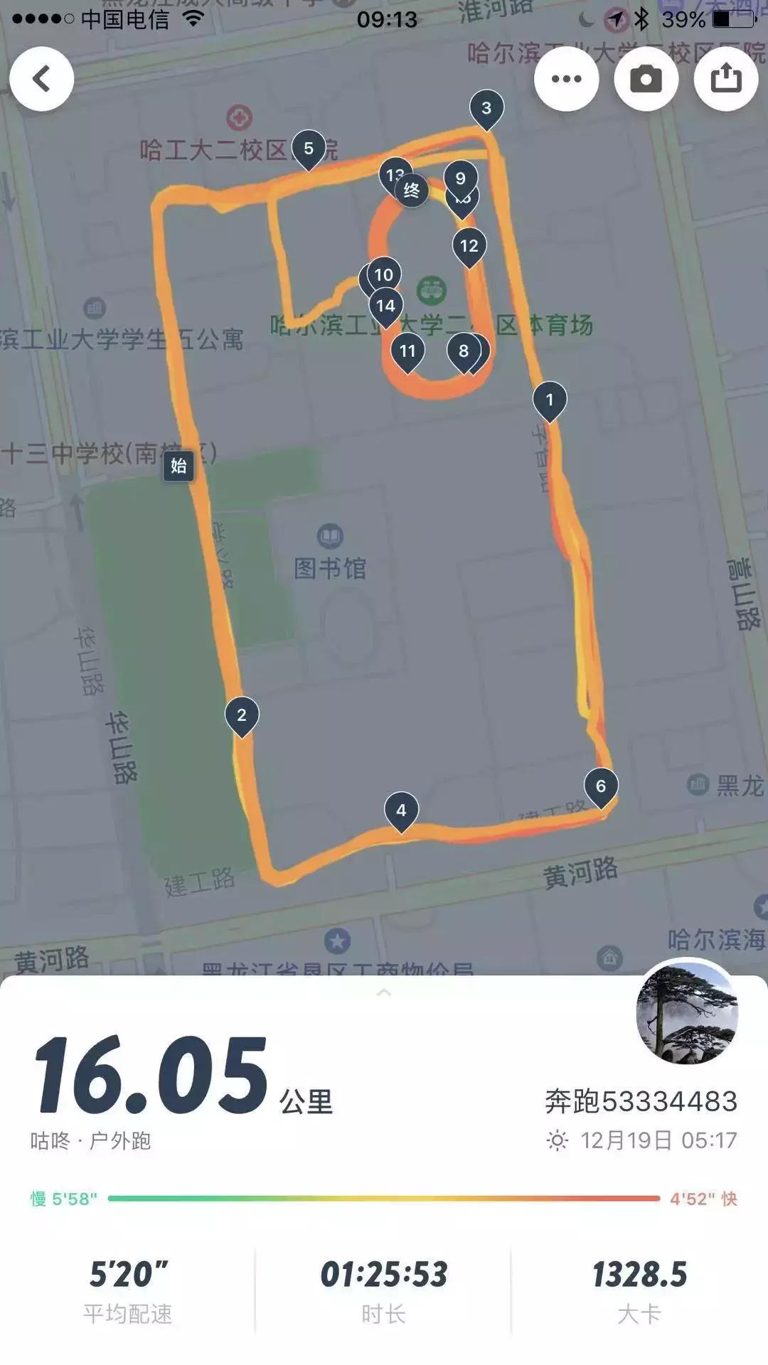 纵有疾风起人生不言弃原文,纵有疾风起人生不言弃莫忘来时路