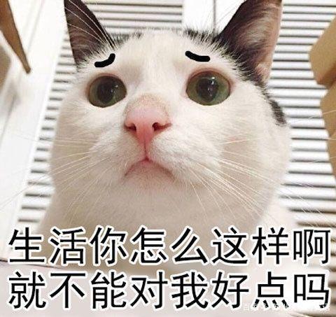 painintheass俚语,paininthebutt