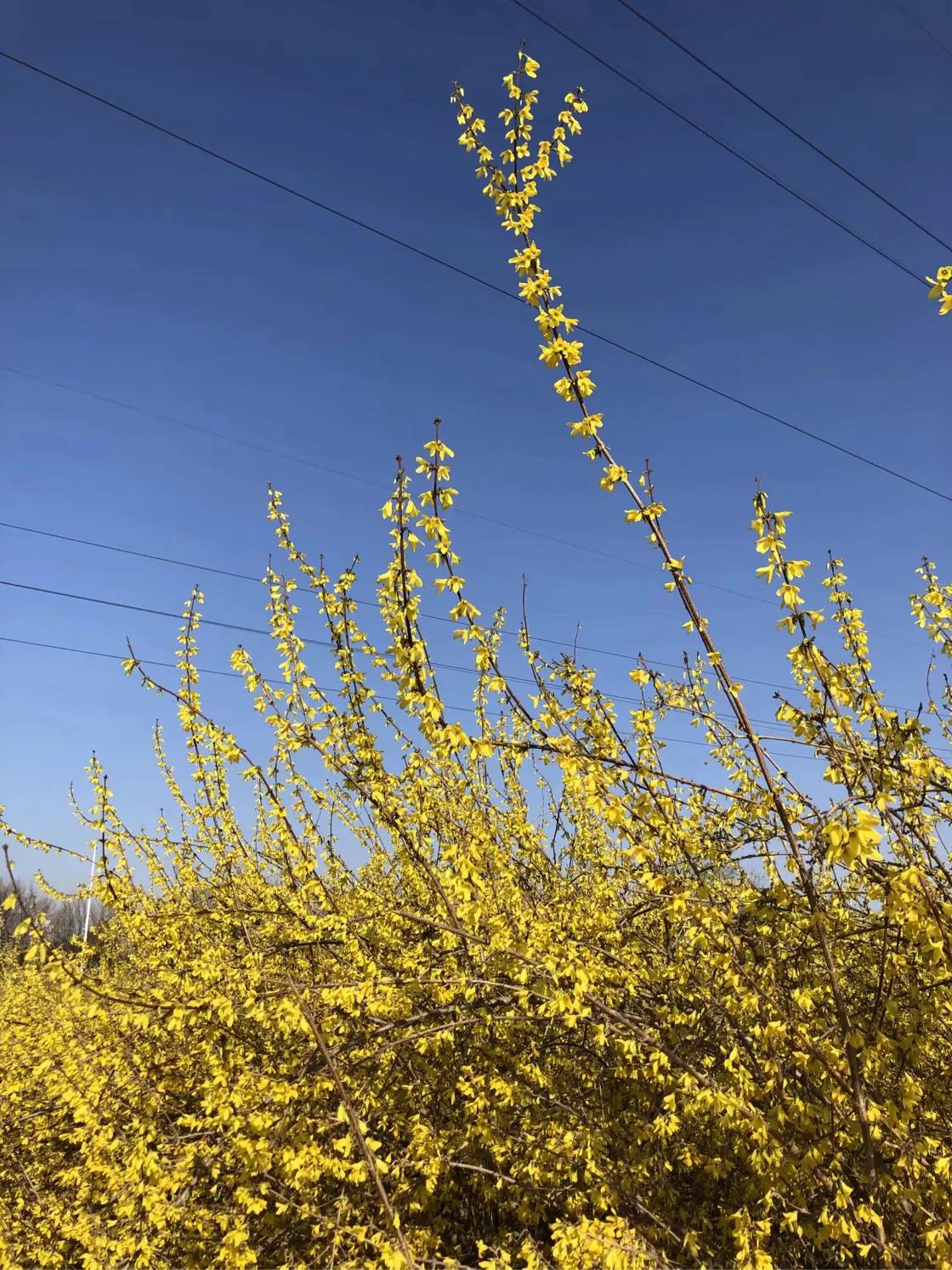 （原创）遵化醉美健身休闲地——沙河