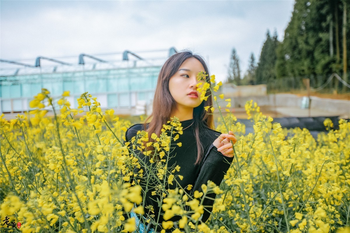 “苦”中作乐很幸福！重庆石柱被称黄连之乡，全县人民靠它致富