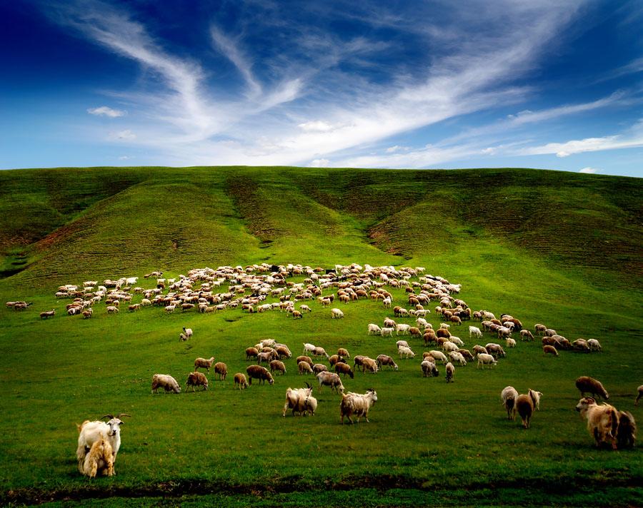 世界上最美的草原书房,世界上最美的草原风景