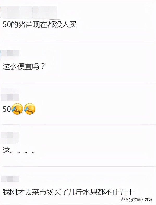 仔猪50元贱卖，远低牧原正邦成本价诱发猪市抄底，双胞胎收猪苗了