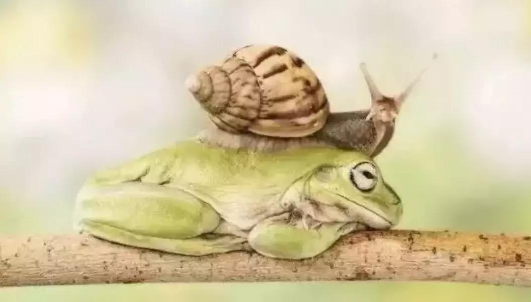 被囚34年取精，被迫亲手杀死爱子，最后只能挣扎着死去……