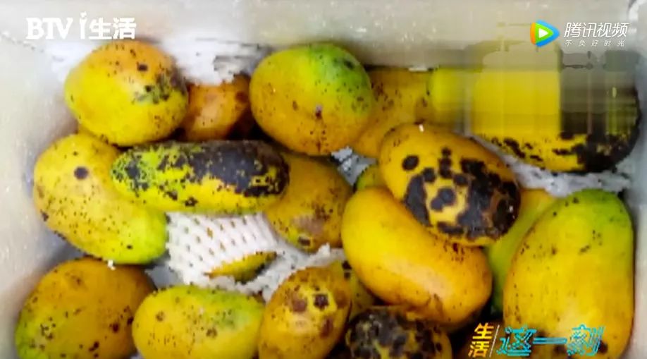 泡在水里的中国人,泡在奶茶里的美女