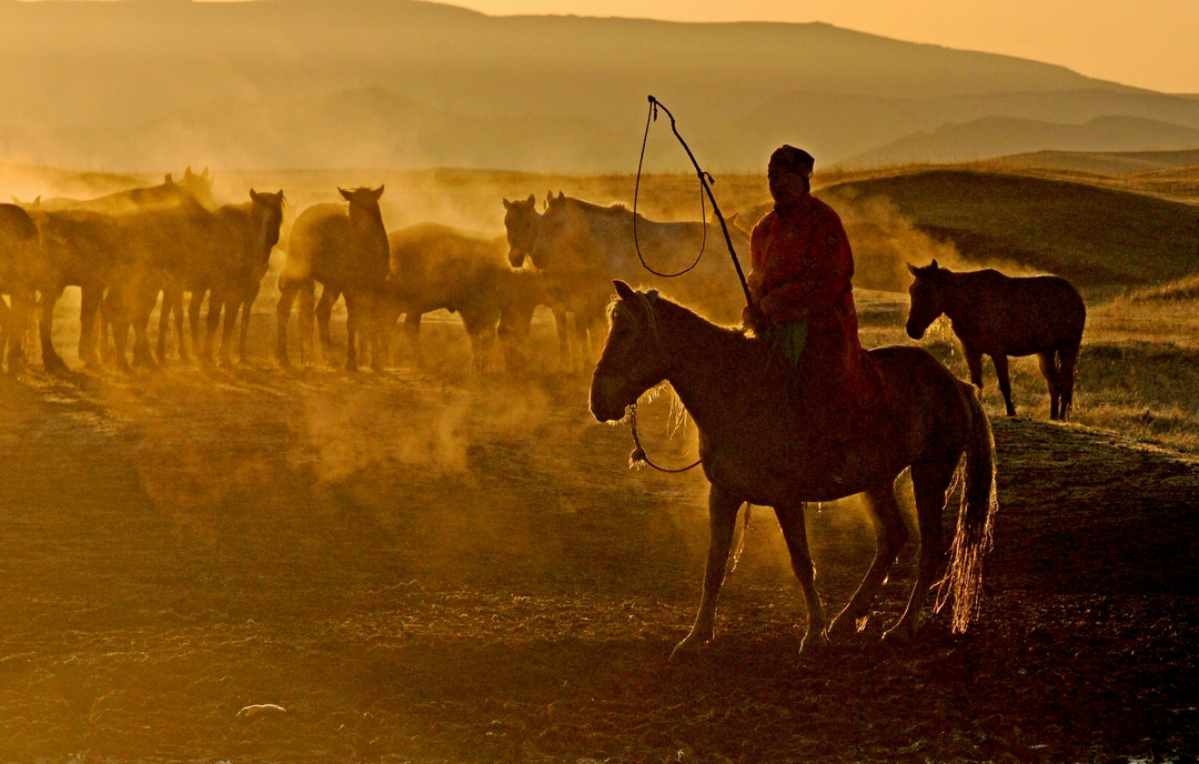 拍马都追不上的成语,拍马都赶不上的成语