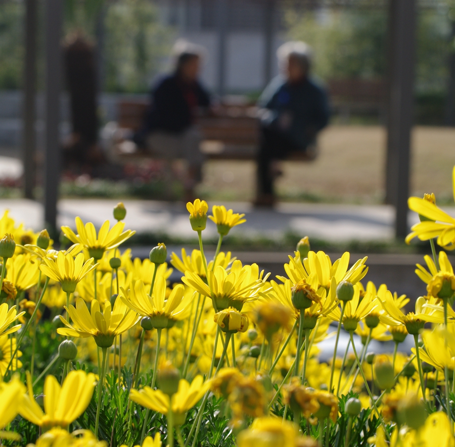 走进新生活创造新生活享受新生活,走进温暖新家视频