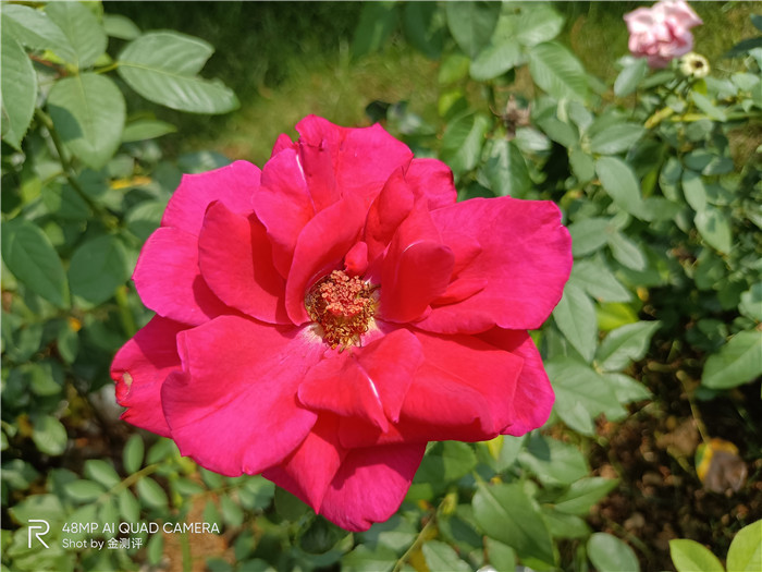 realme真我v5是5g手机吗,realme真我v5是不是全面屏