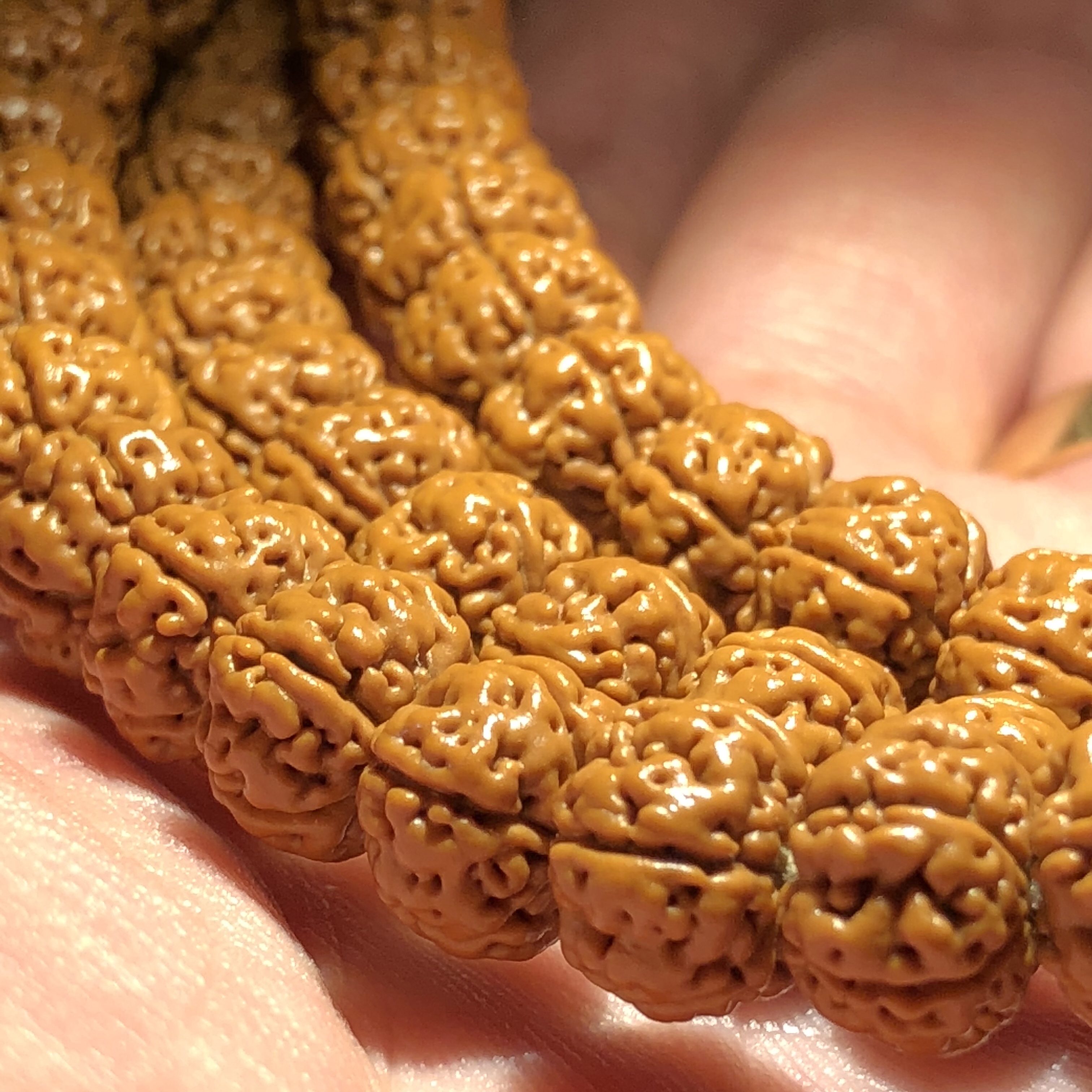 什么纹路的小金刚菩提子值得盘玩,金刚菩提18mm的还是22mm的好