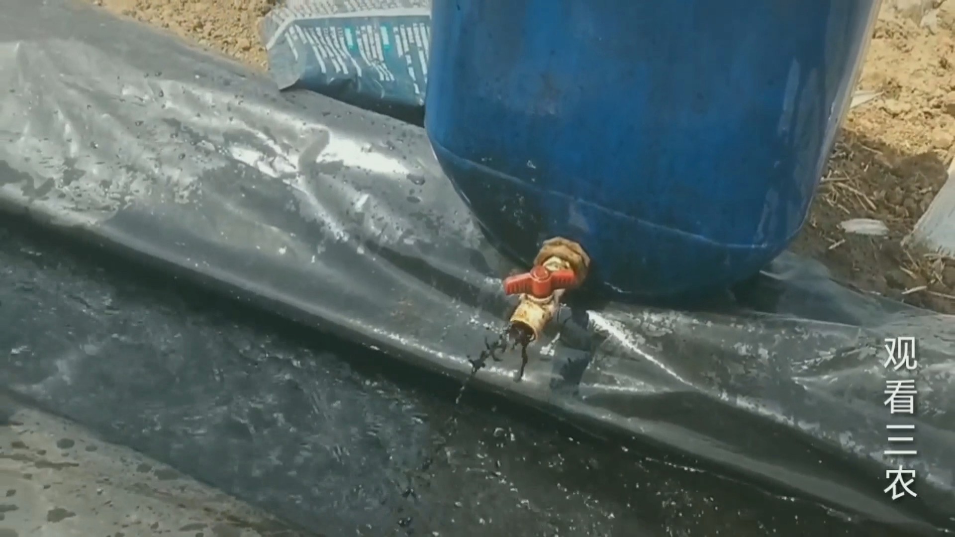 农广天地大姜种植技术视频,种植大姜的正确方法