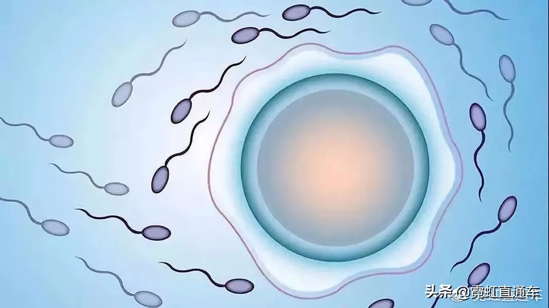 全球首例试管婴儿在哪国,日本试管婴儿有多少人