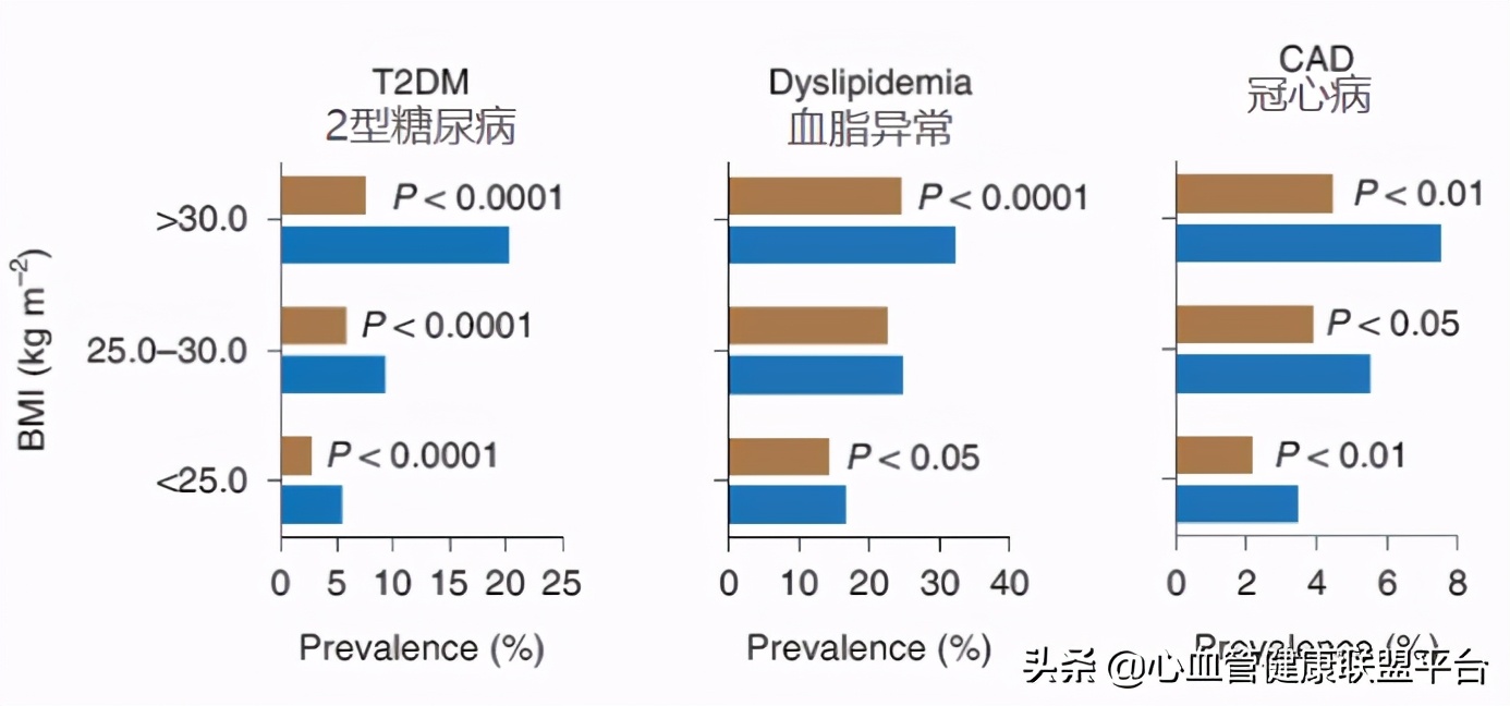 脂肪有好坏之分,脂肪种类很多也有优劣之分