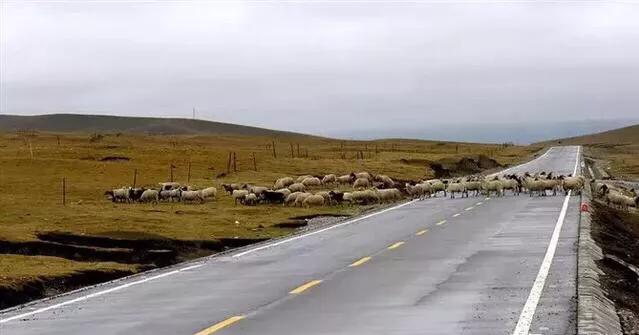 流浪地球旅游排名,徒步旅行流浪地球