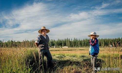 粮食价格那么低农民怎么赚钱,粮食价格低农民怎么活