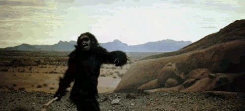 我花了50块钱，围观了一个“-6.5”的元宇宙