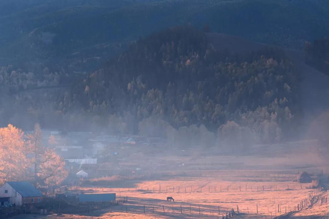 关于读书的诗词经典名句,读书经典诗词名句大全简短