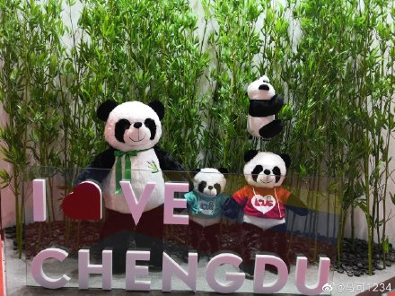 2020成都马拉松明日鸣枪开跑,2019年成都马拉松全程时间