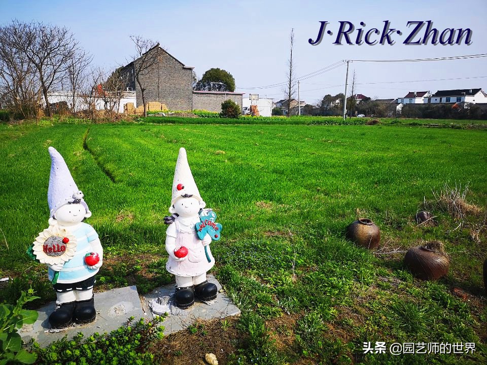 城市蔬菜园景观设计,蔬菜花园造型