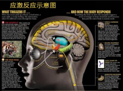 催眠疗愈心理创伤,《心理治疗》催眠