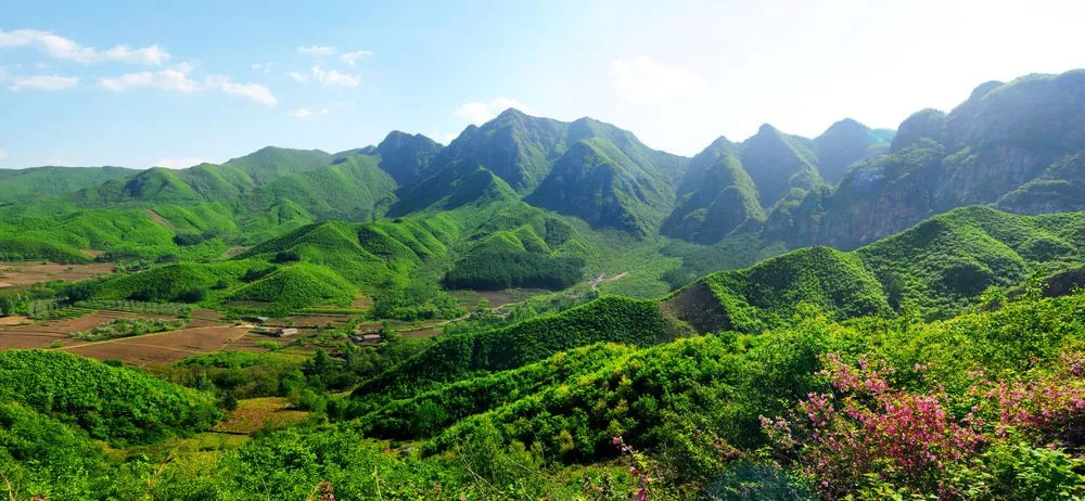 来一场原始森林的探险之旅——大连天门山旅游攻略