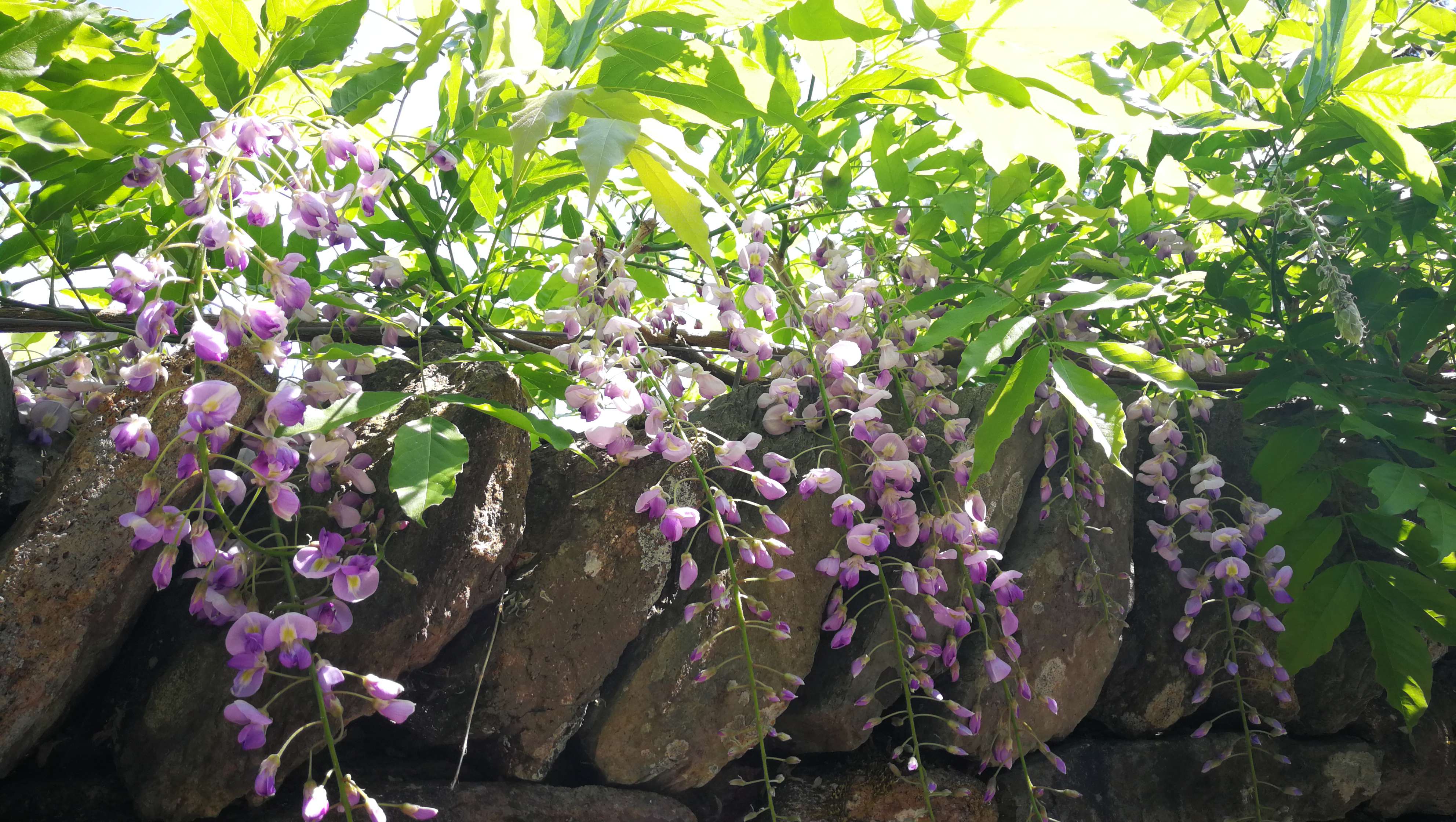 「英伦随笔」世界上最宁静的小镇