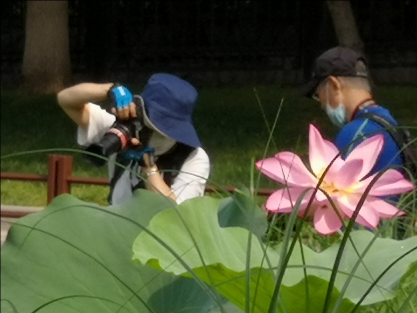 父亲节快到了又想起了我的爸爸,父亲节让我想起了自己的爸爸