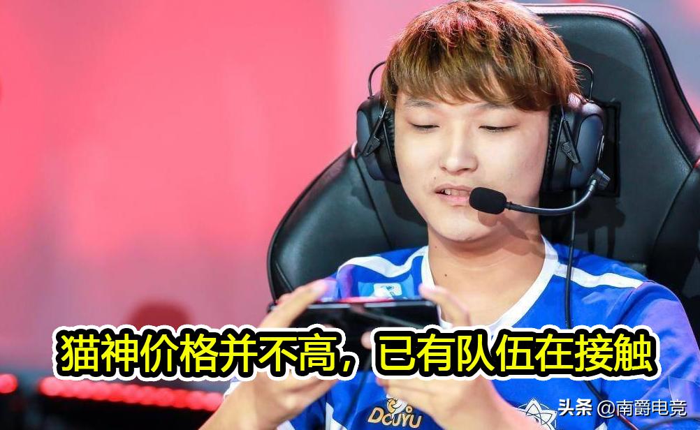 猫神ag和dyg,dyg和猫神合同