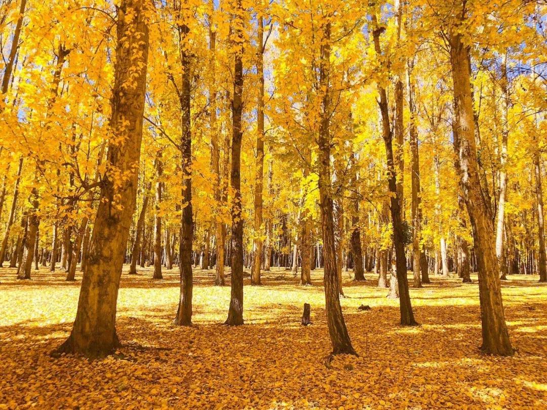 藏在日常生活中的幸福,生活在西藏是不是很幸福