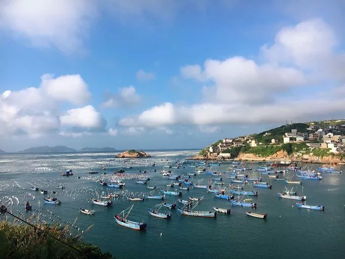 初心枸杞岛旅游攻略,枸杞岛旅游攻略大全